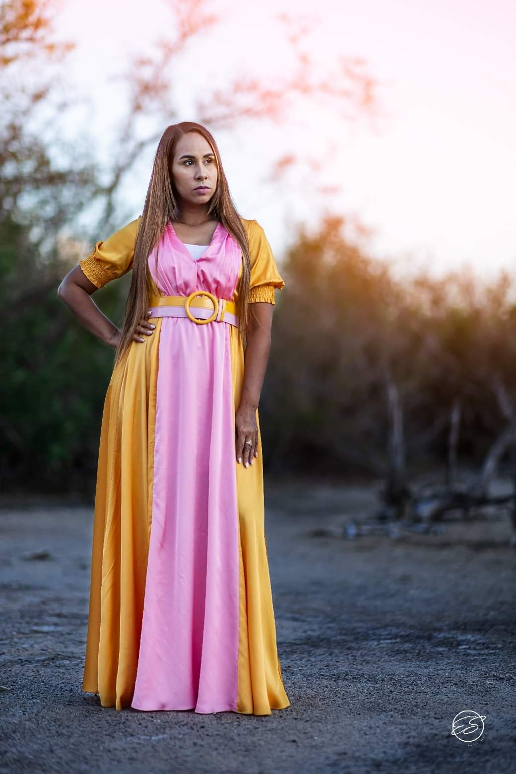 Color block Maxi Dress